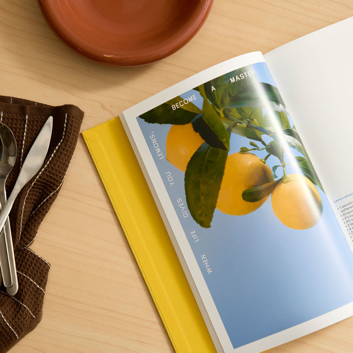 Squeeze Me: Lemons, Recipes & Art