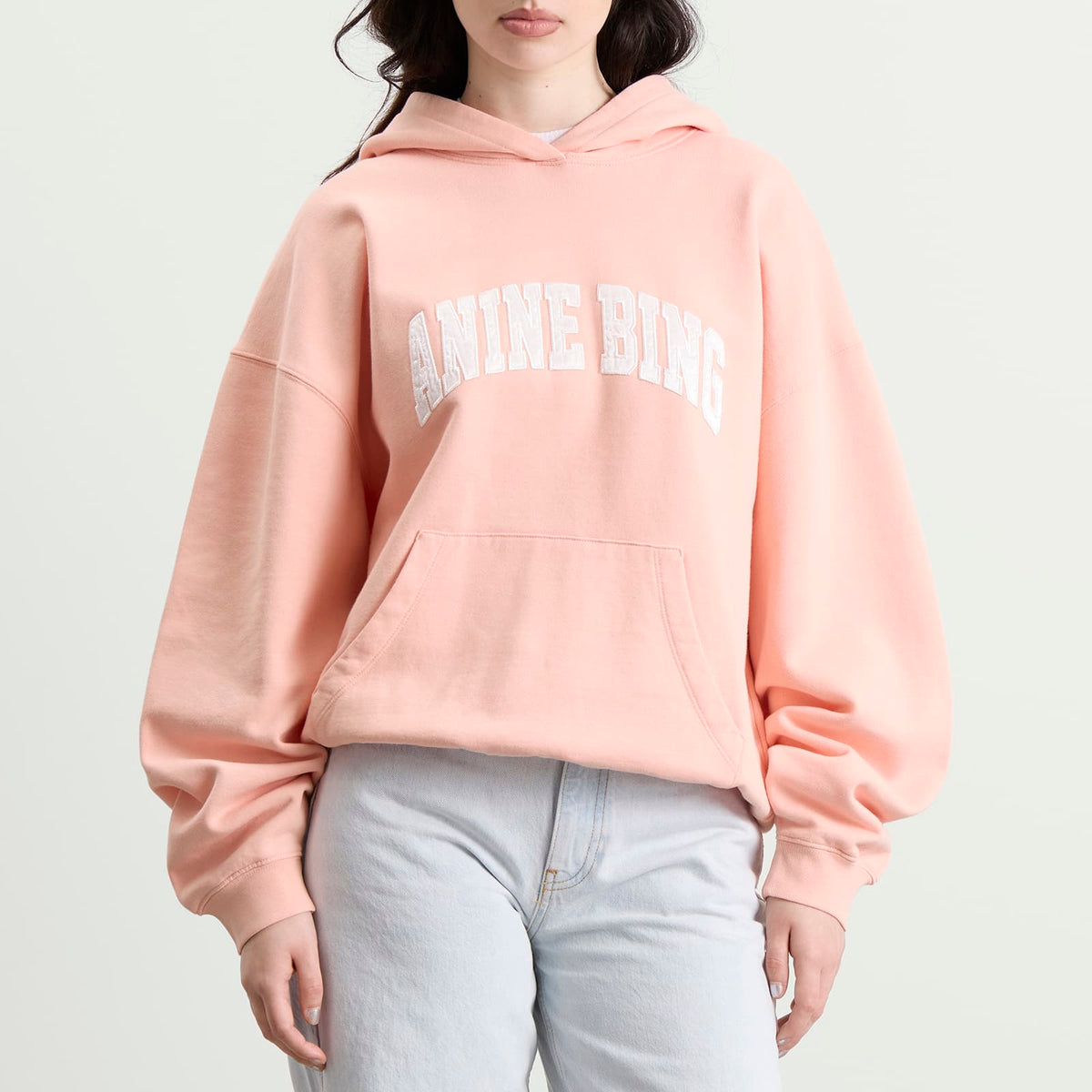 Anine Bing Harvey Hoodie