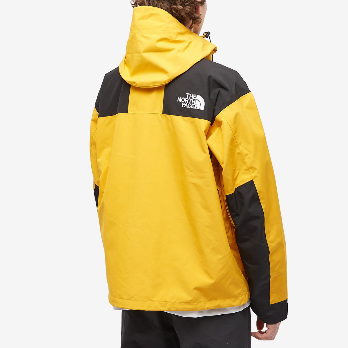 The North Face Gore-Tex Mountain Jacket