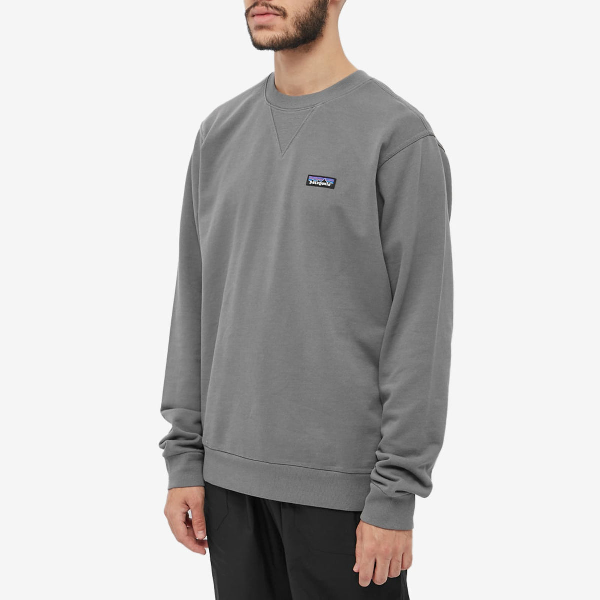 Patagonia Regenerative Cotton Crew Sweat