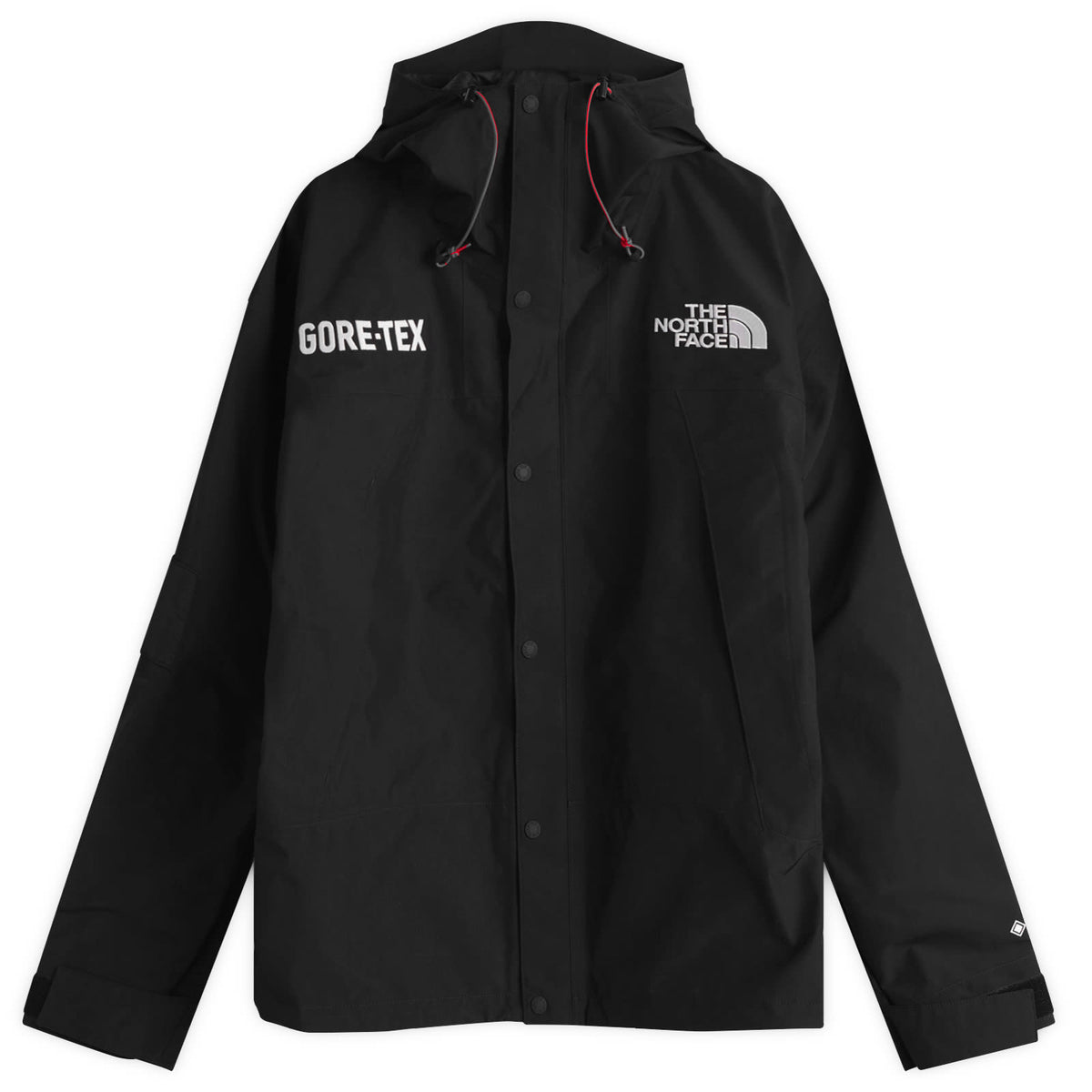 The North Face Gore-Tex Mountain Jacket