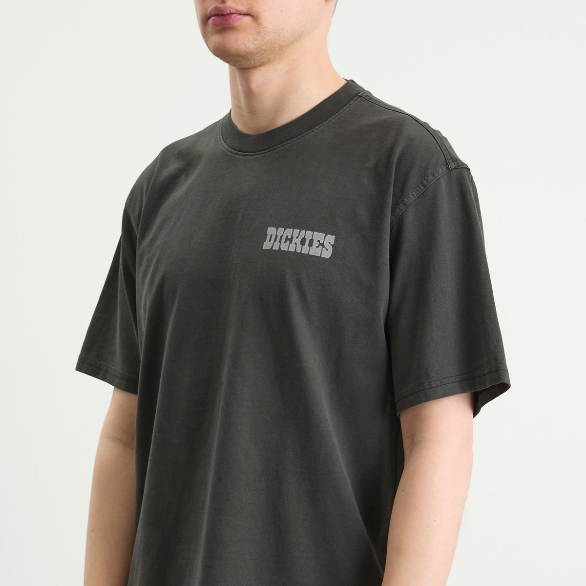 Dickies Buchtell T-Shirt