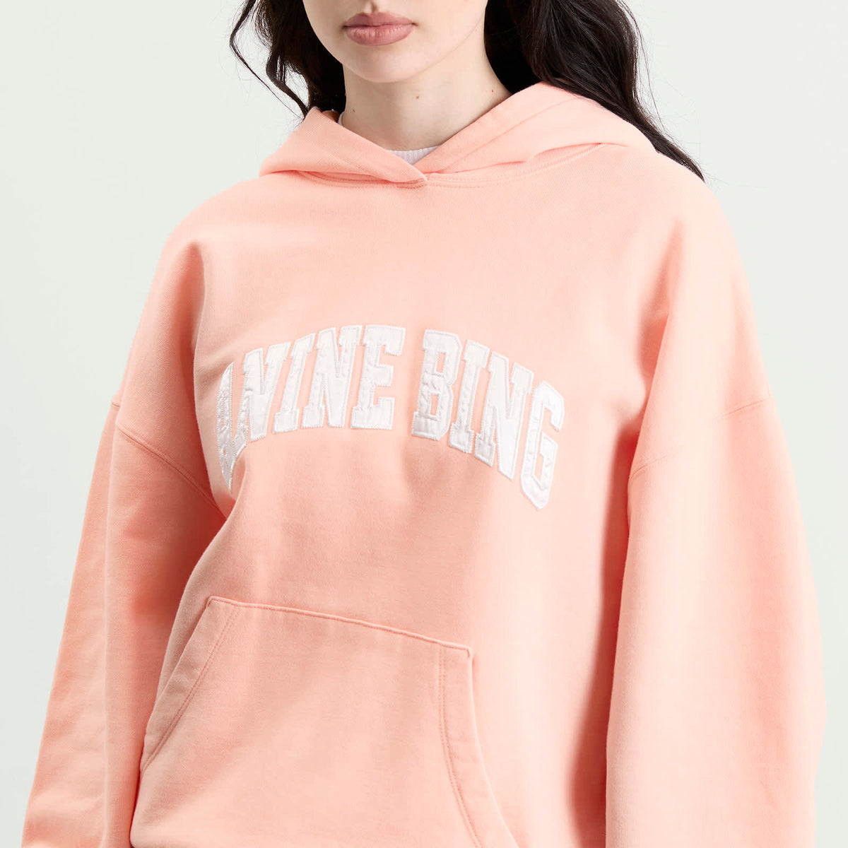 Anine Bing Harvey Hoodie