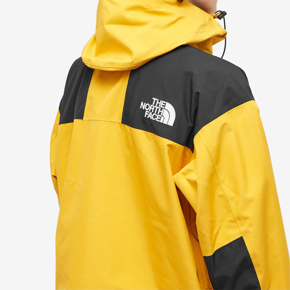 The North Face Gore-Tex Mountain Jacket