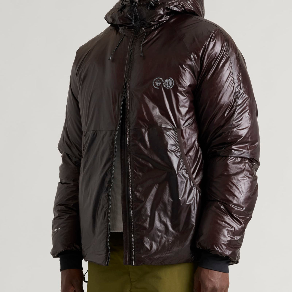 Purple Mountain Observatory Shield Translucent Down Jacket