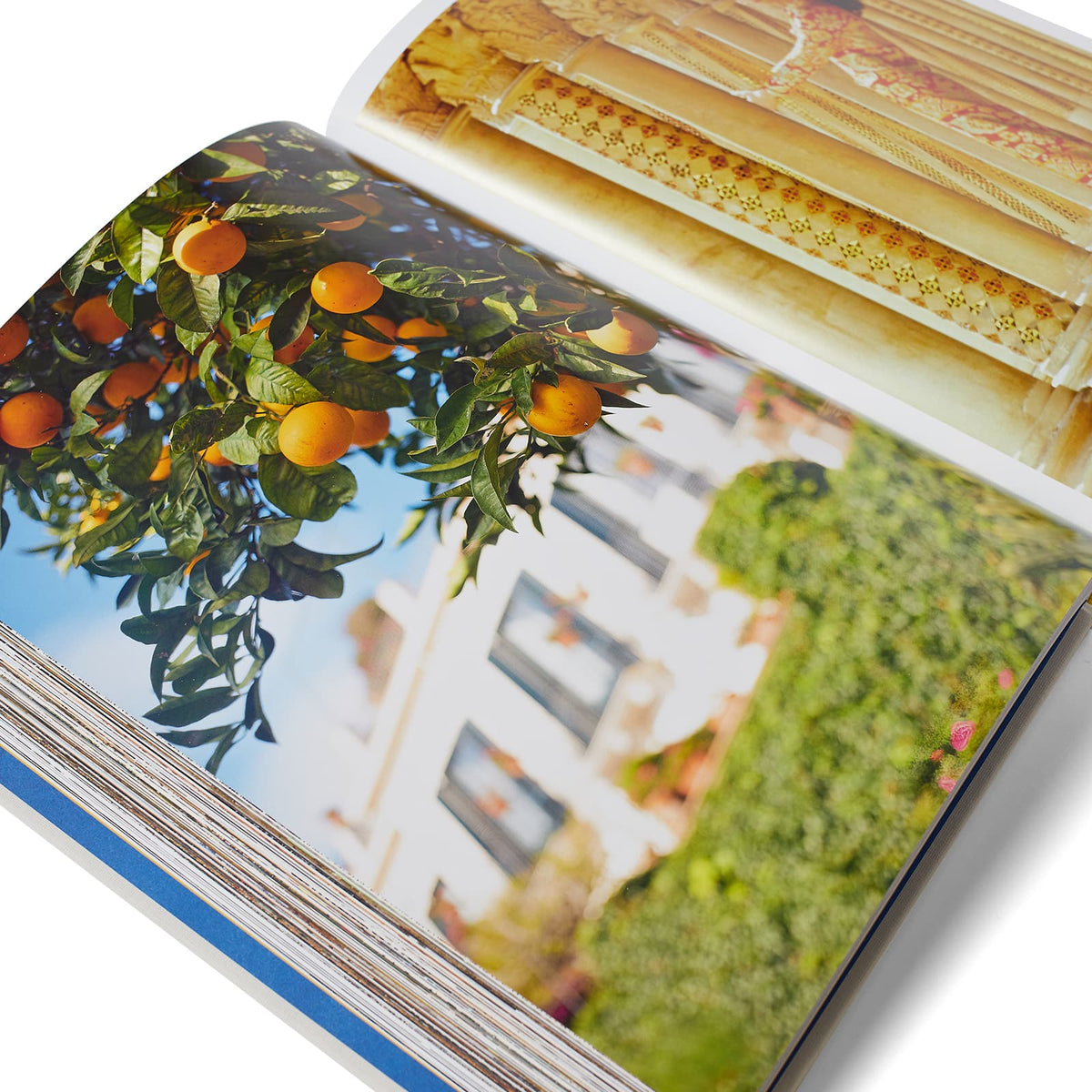 Assouline Siciily Honor