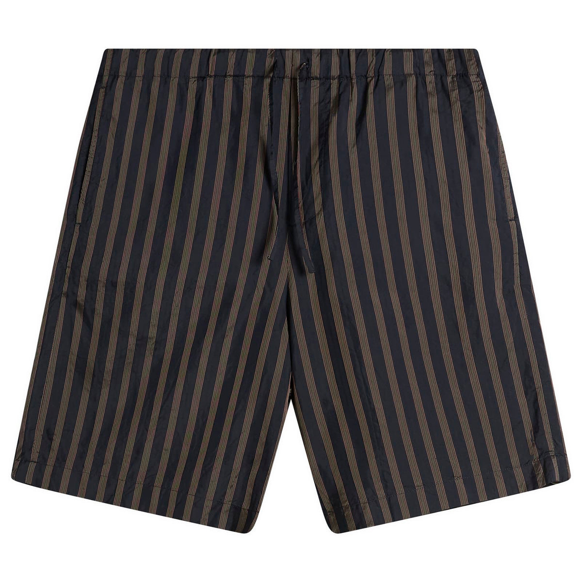 Dries Van Noten Stripe Cupro Shorts
