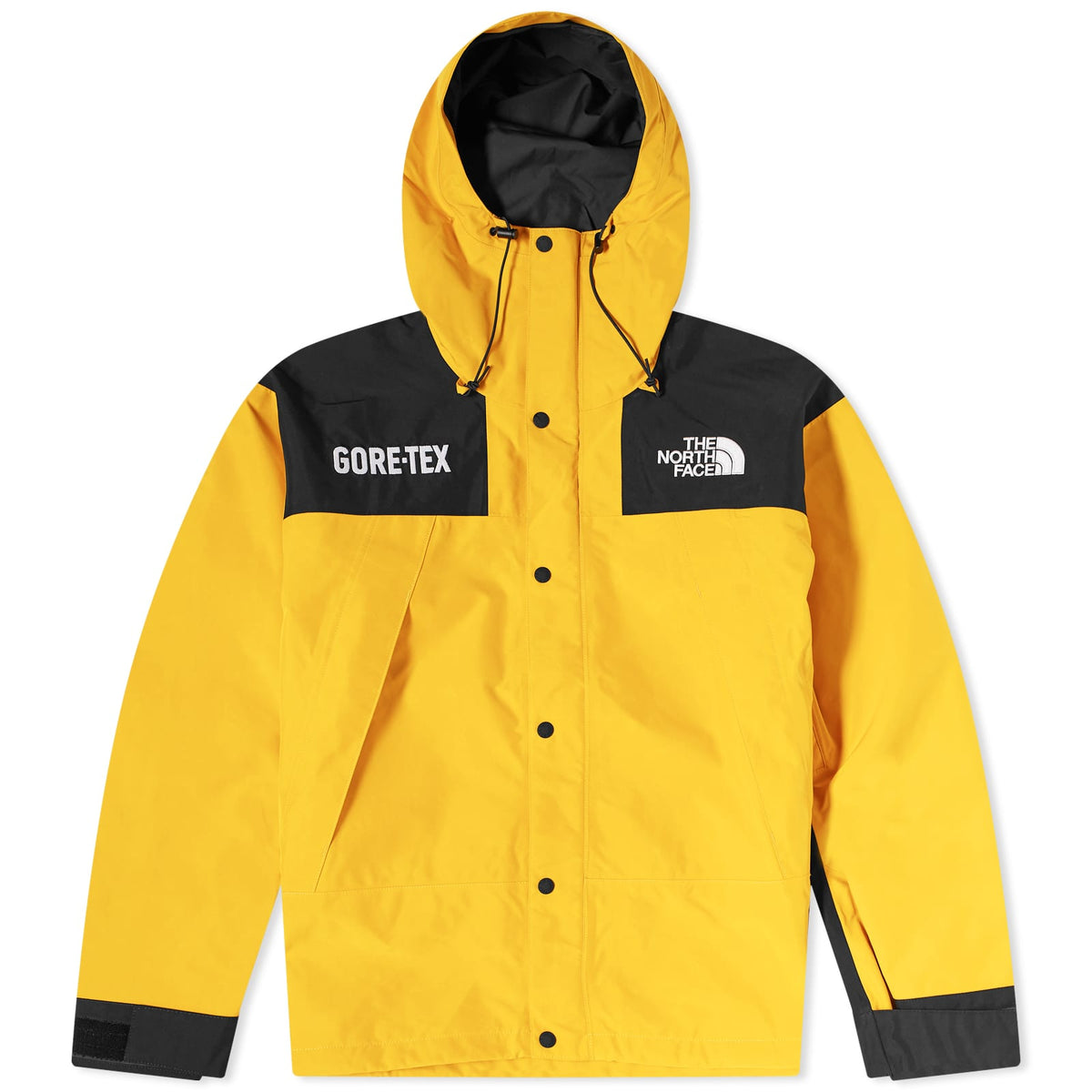 The North Face Gore-Tex Mountain Jacket