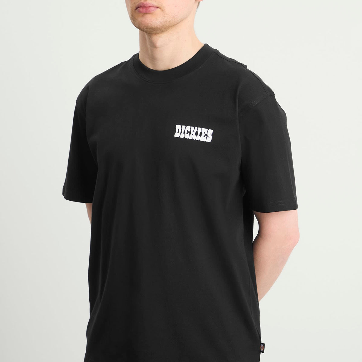 Dickies Plain City T-Shirt
