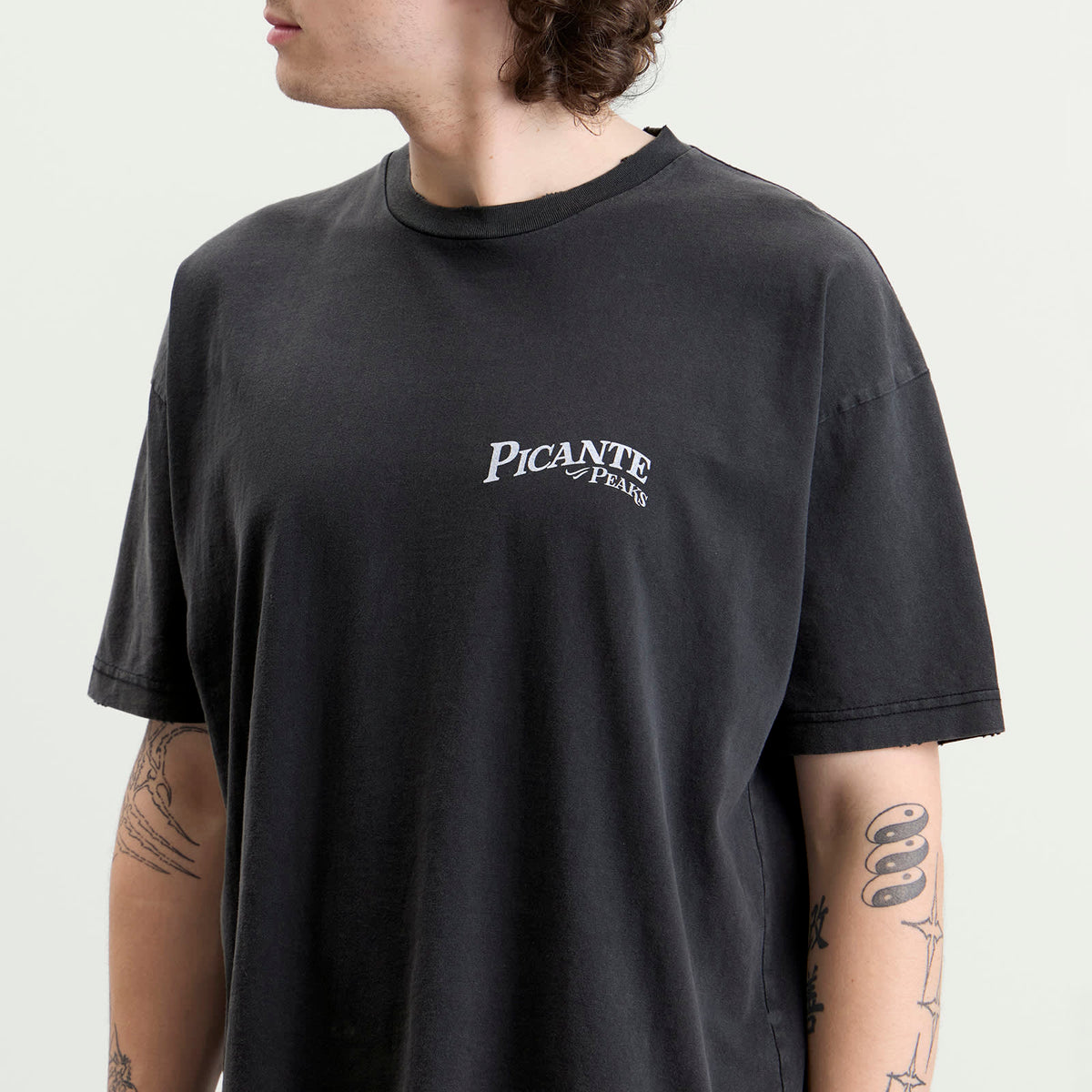 PICANTE Peaks Patch T-Shirt