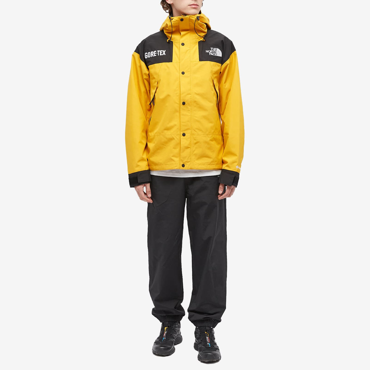 The North Face Gore-Tex Mountain Jacket