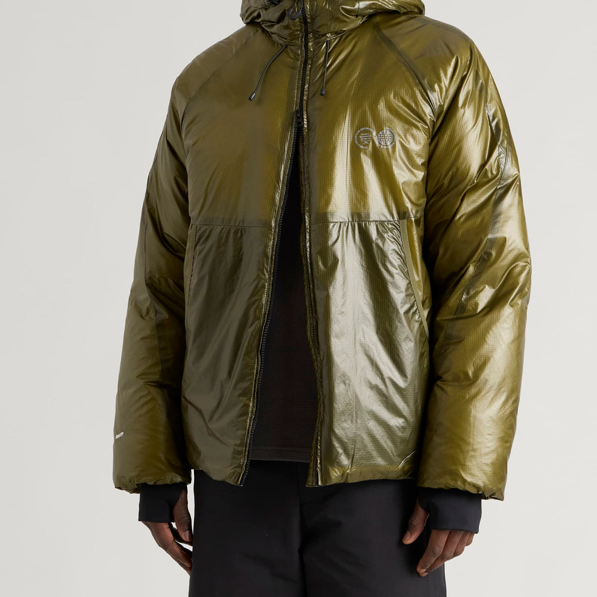 Purple Mountain Observatory Shield Translucent Down Jacket