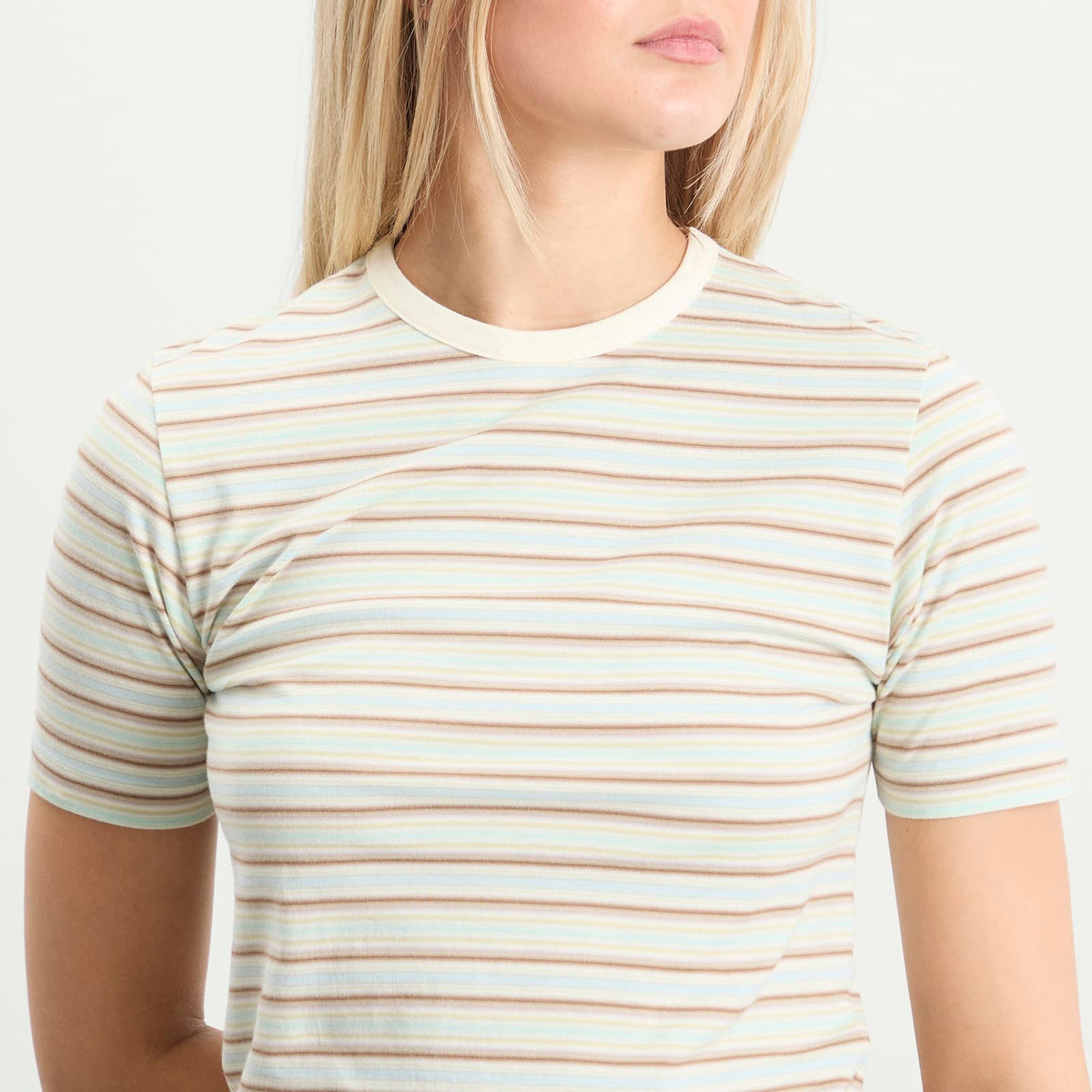 Auralee Gradient Stripe T-Shirt