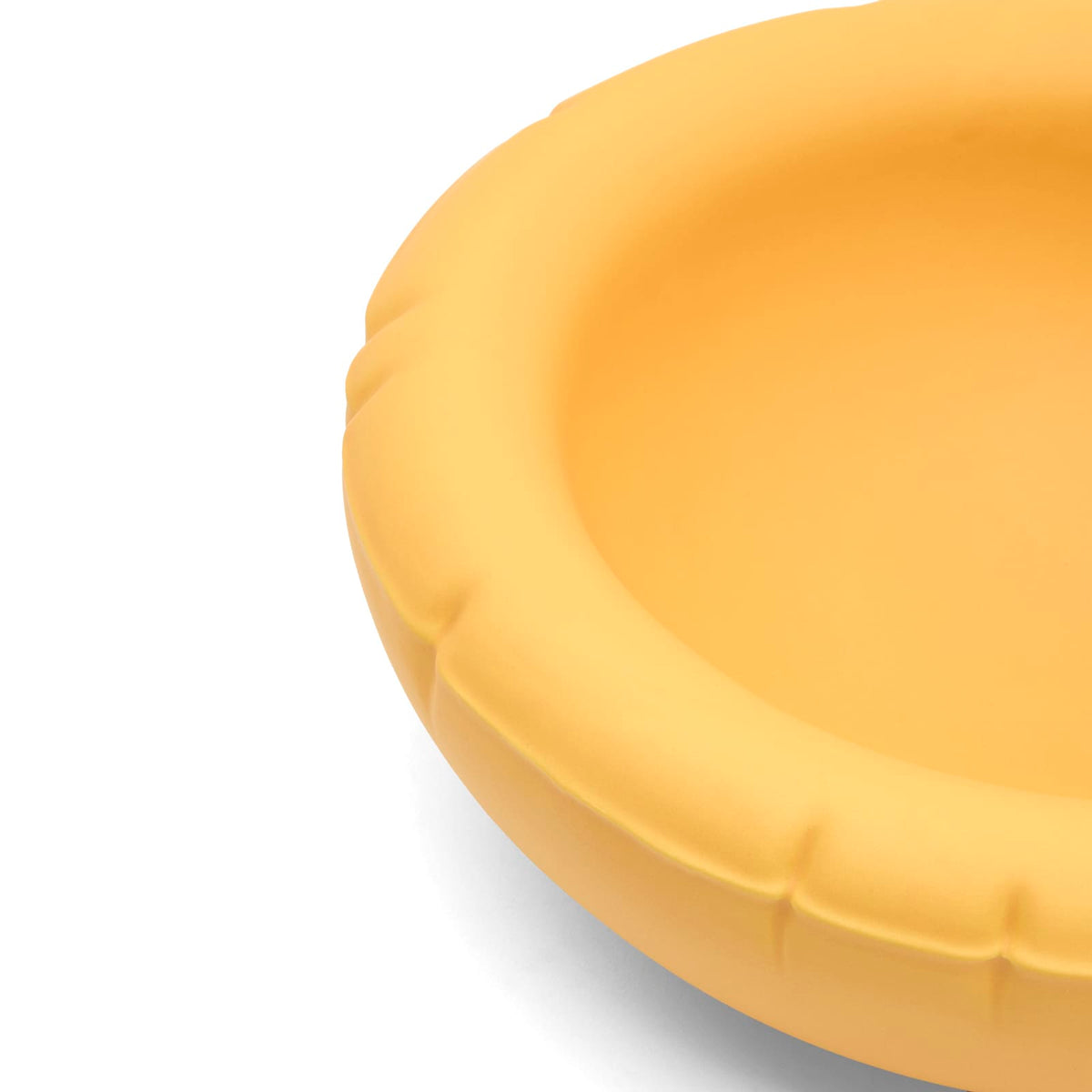 Home Studyo Mick Big Bowl