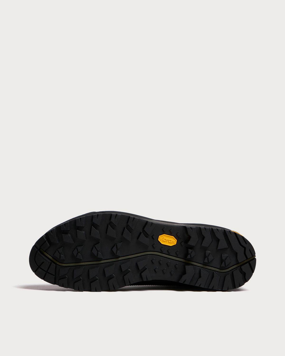 The North Face Verto Alpine Gore-Tex