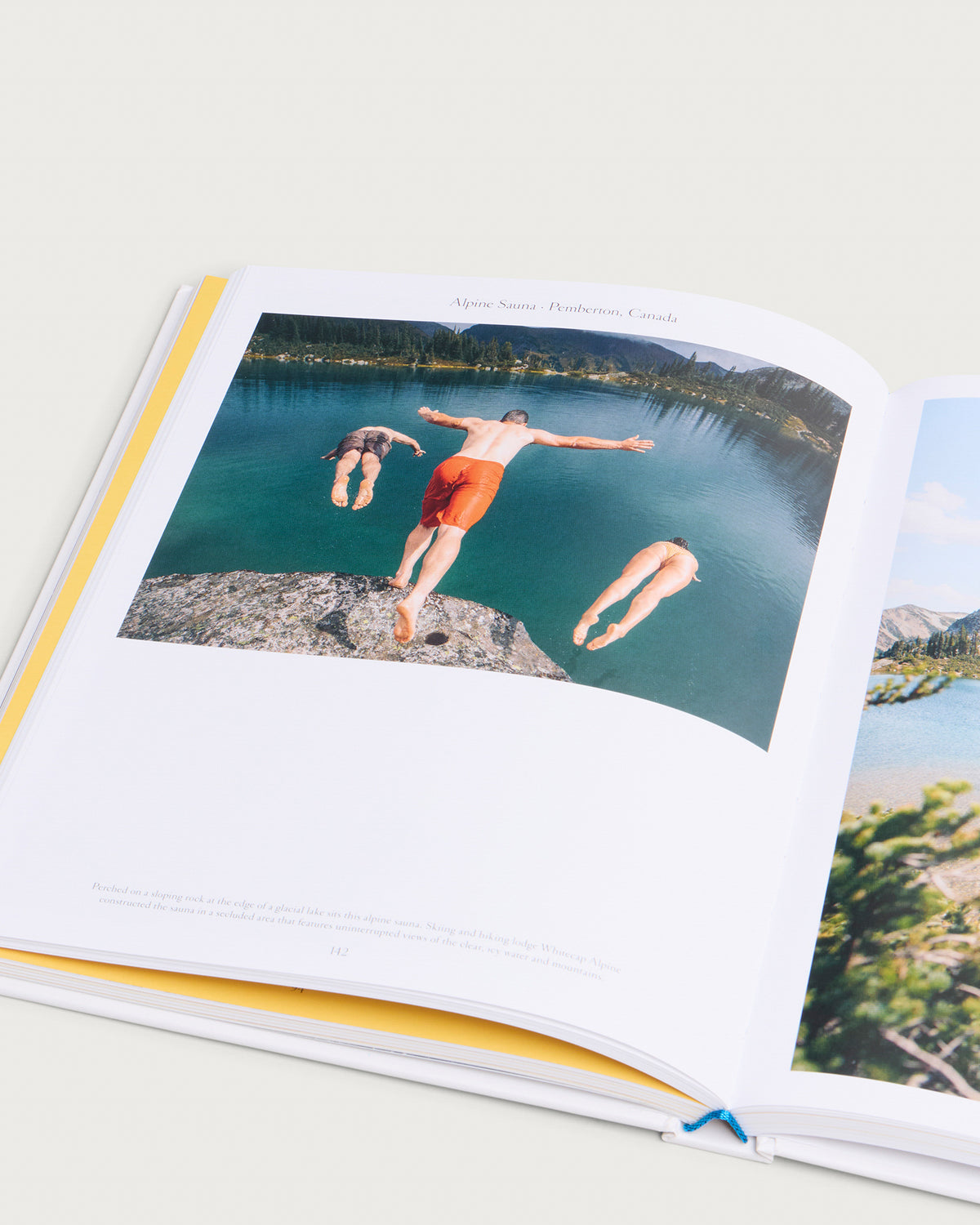 The Nature of Swimming (Updated Edition)