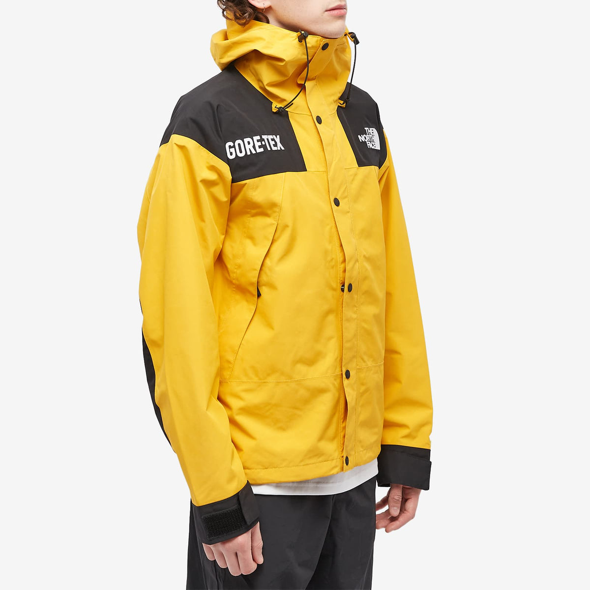 The North Face Gore-Tex Mountain Jacket