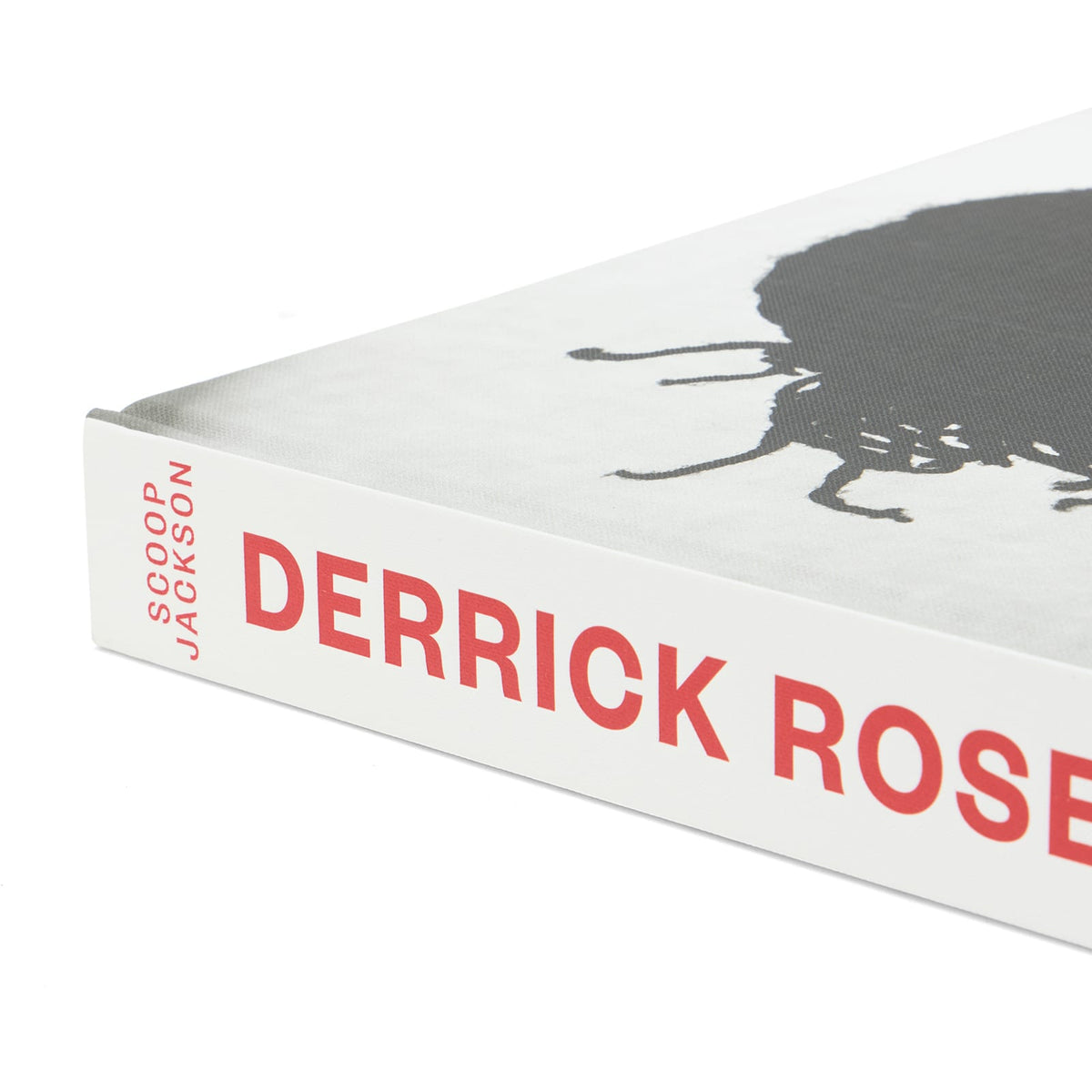 Derrick Rose: The Poohprint