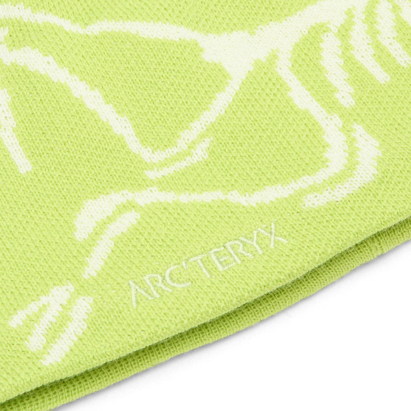 Arc'teryx Bird Head Toque