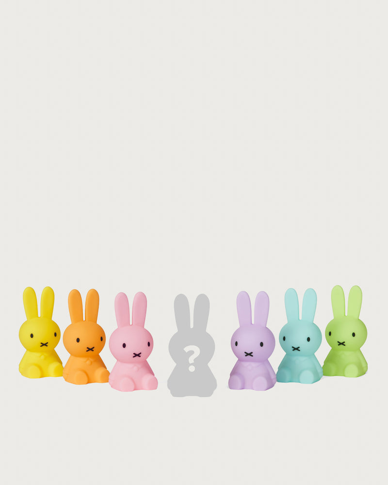 Mr. Maria Miffy Bundle of Light Colourful Surprise