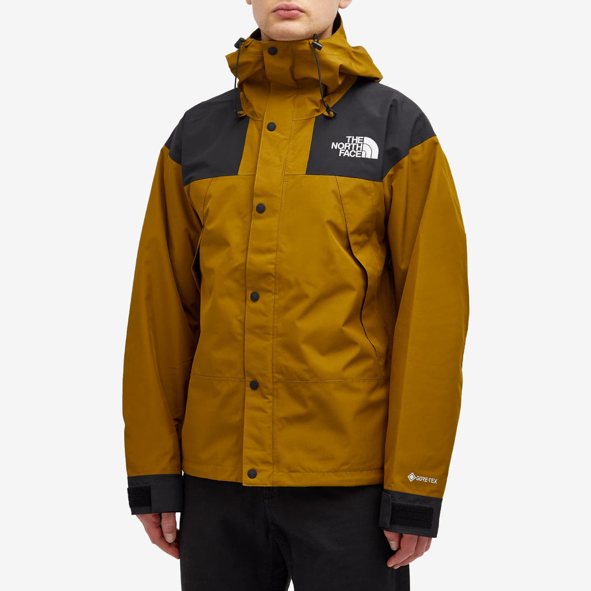 The North Face Gore-Tex Mountain Jacket