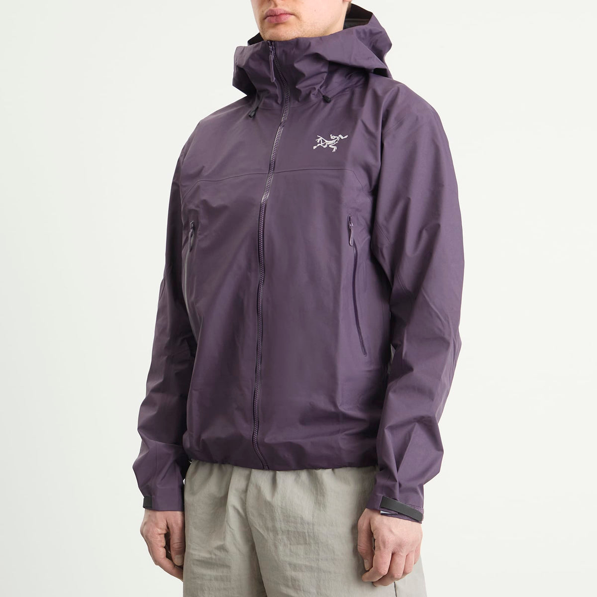 Arc'teryx Beta SL Gore-Tex Jacket