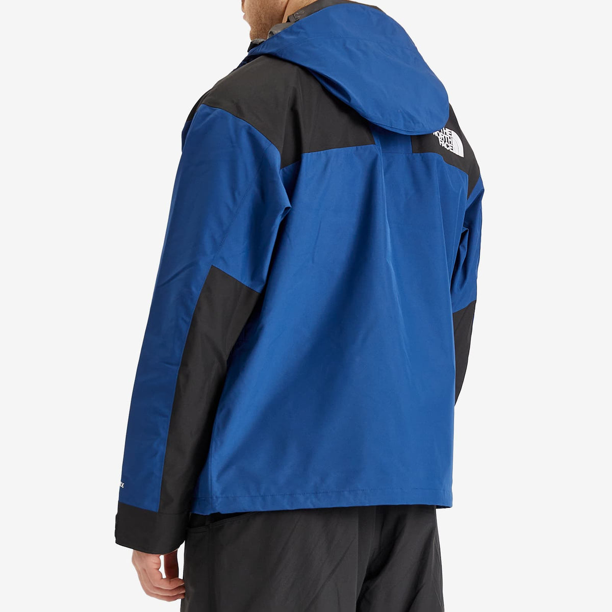The North Face Gore-Tex Mountain Jacket