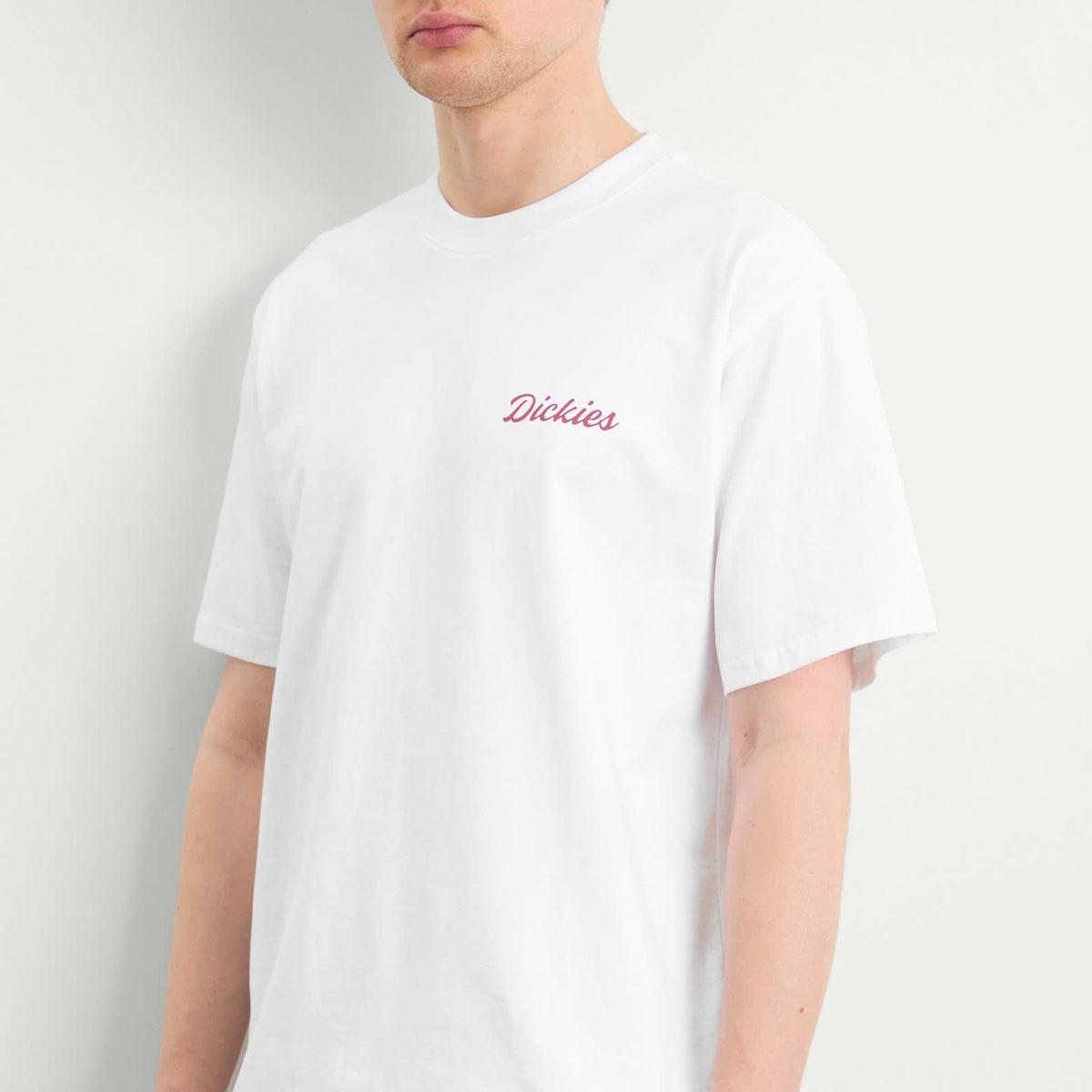 Dickies Wellsville T-Shirt