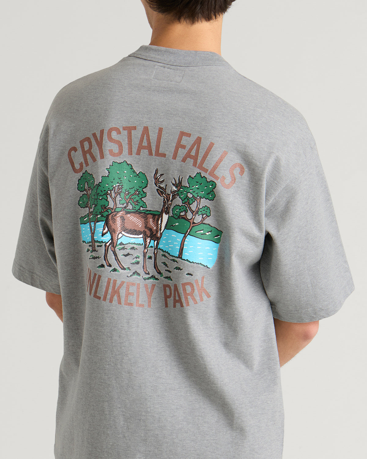 Unlikely Dry Goods Crystal Falls Graphic T-Shirt