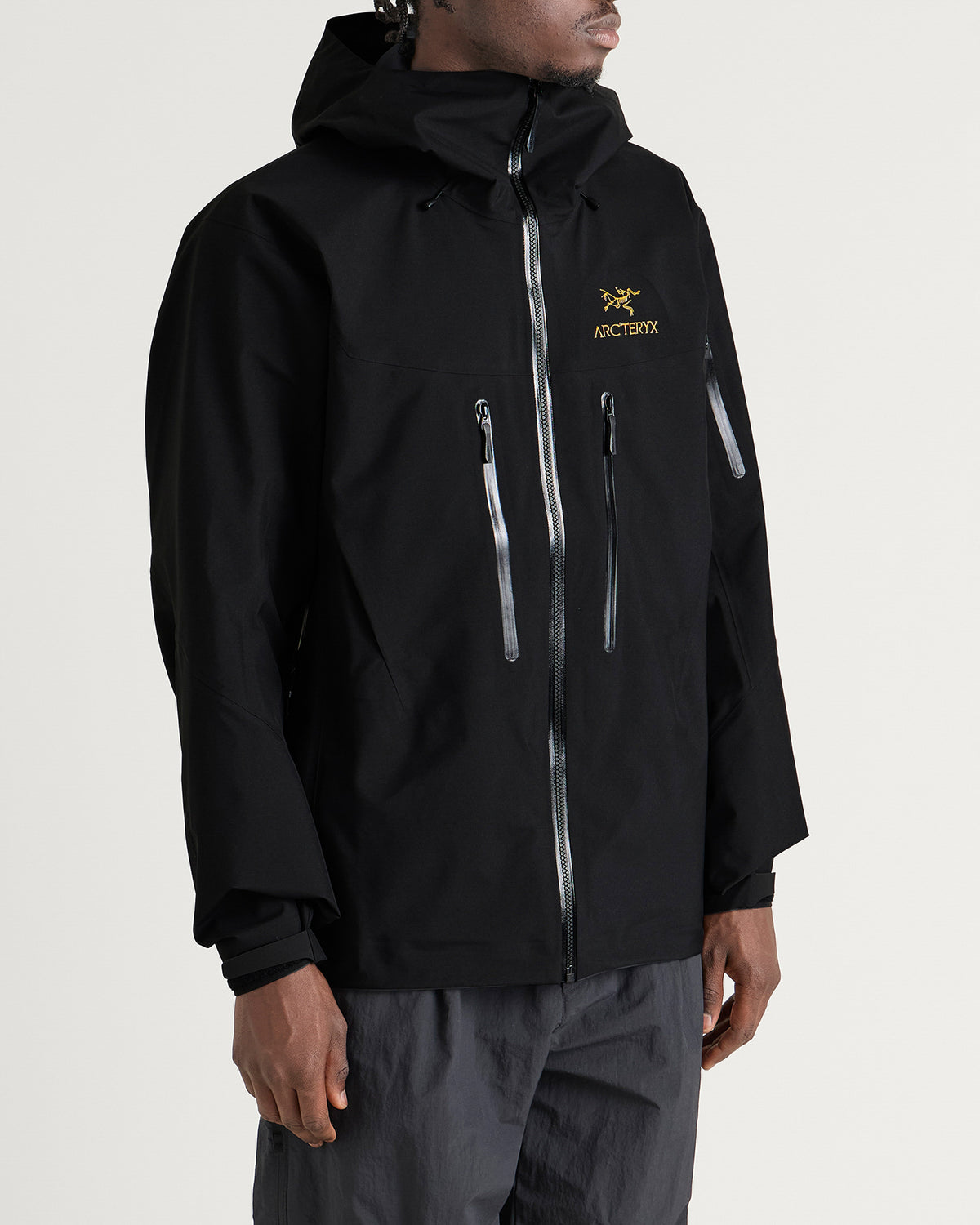 Arc'teryx Alpha SV Gore-Tex Jacket