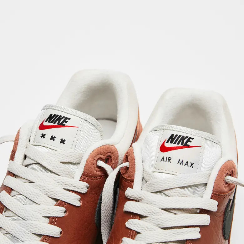 The Nike Amsterdam Air Max 1.