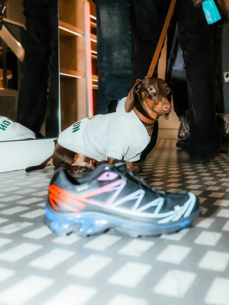 Event celebrating Salomon Milano Cortina 2026 collection at END. Milano store