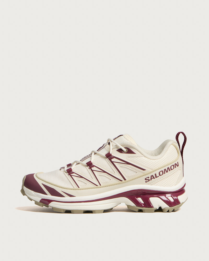 Salomon XT-6 Expanse Sneaker