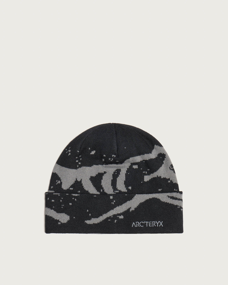 Arc'teryx Grotto Toque