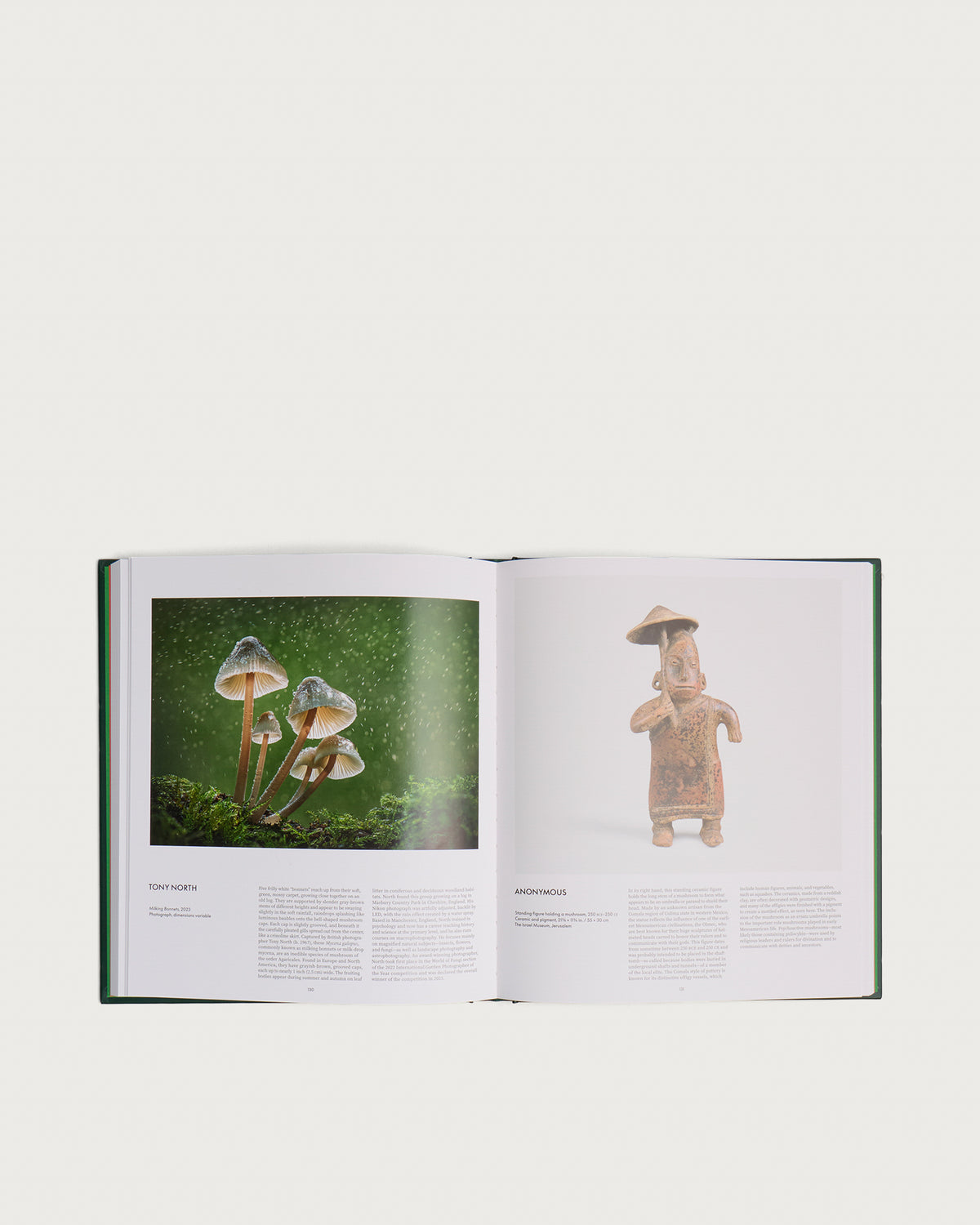 Fungi: The World of Mushrooms