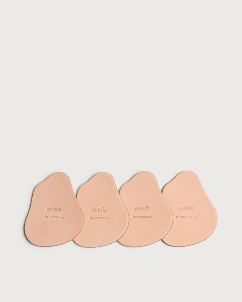 Hender Scheme x Artek Coasters - Set of 4