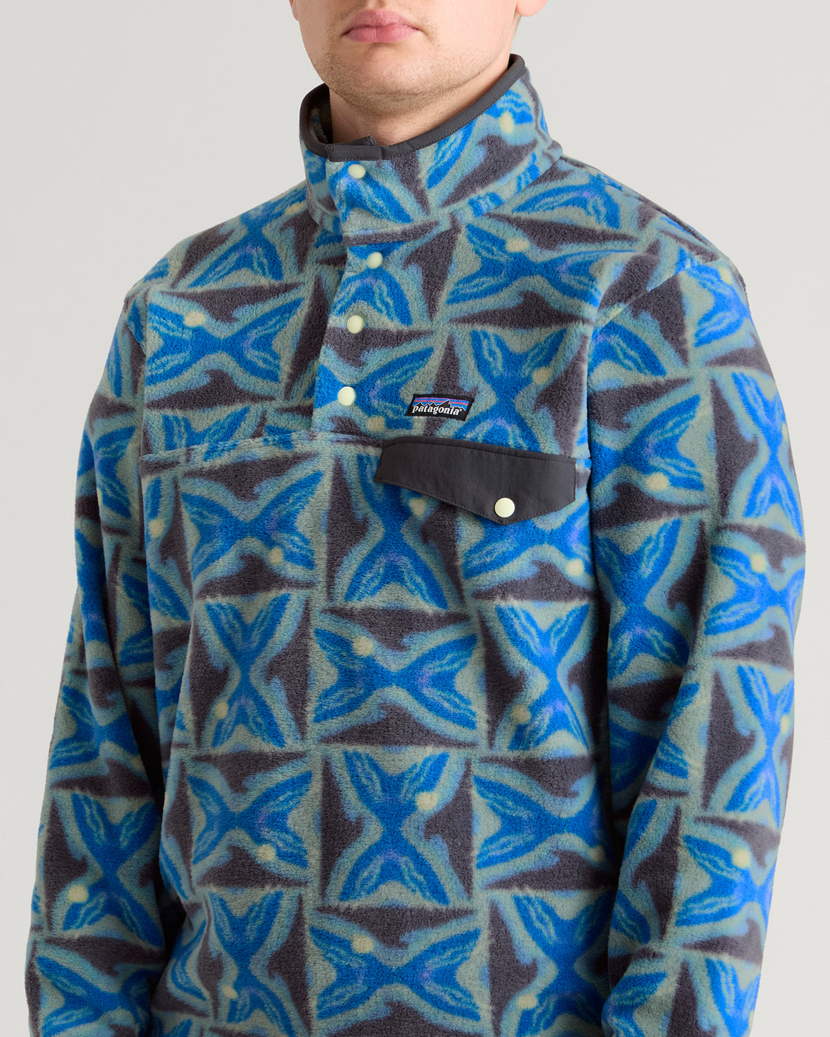Patagonia Synchilla Snap-T Pullover
